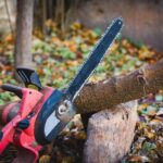 How to Choose the Best Arborist Sydney for Your Trees