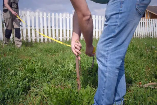 boundary surveyors