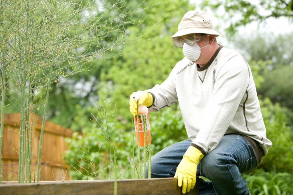 Why Pest Control Services Sydney Are Essential for Maintaining a Healthy Home