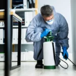 Why Pest Control Services Sydney Are Essential for Maintaining a Healthy Home