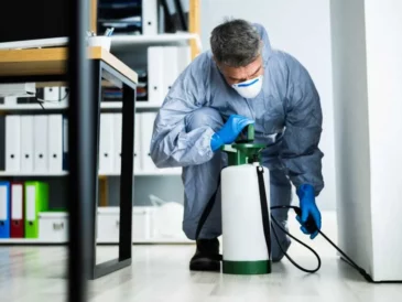 Why Pest Control Services Sydney Are Essential for Maintaining a Healthy Home