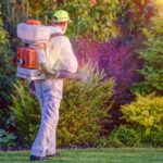 Comprehensive Pest Fumigation Sydney: A Complete Guide to Effective Pest Management