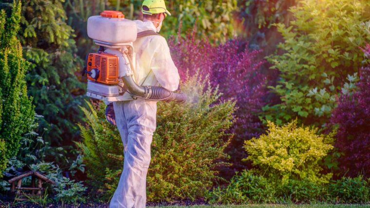 Comprehensive Pest Fumigation Sydney: A Complete Guide to Effective Pest Management