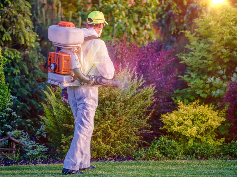 Comprehensive Pest Fumigation Sydney: A Complete Guide to Effective Pest Management