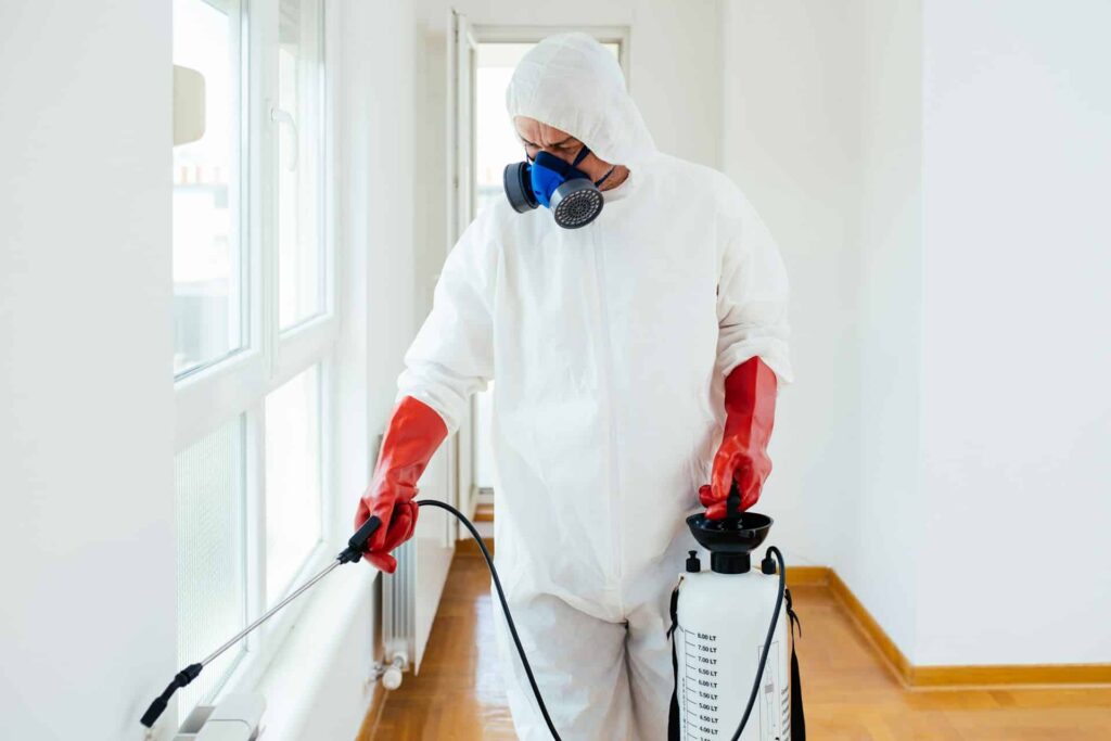 Comprehensive Pest Fumigation Sydney: A Complete Guide to Effective Pest Management