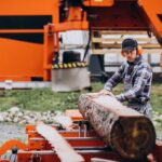 Benefits of Professional Stump Grinding Over Stump Removal
