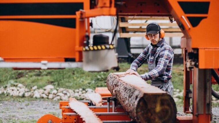 professional stump grinding