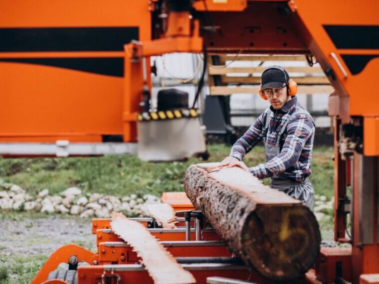 professional stump grinding