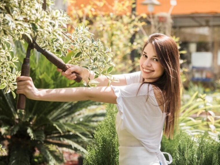 tree pruning services sydney