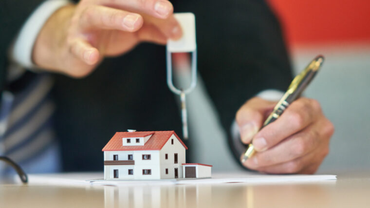 buyers agent clovelly