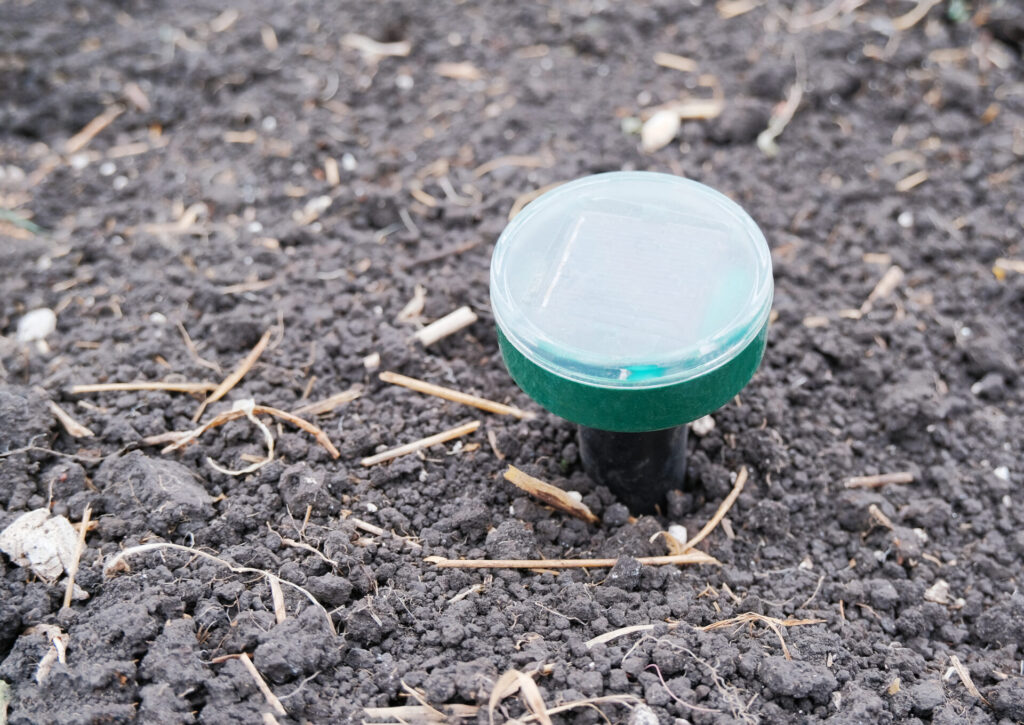 Home Termite Control: Do Ultrasonic Devices Actually Work?

