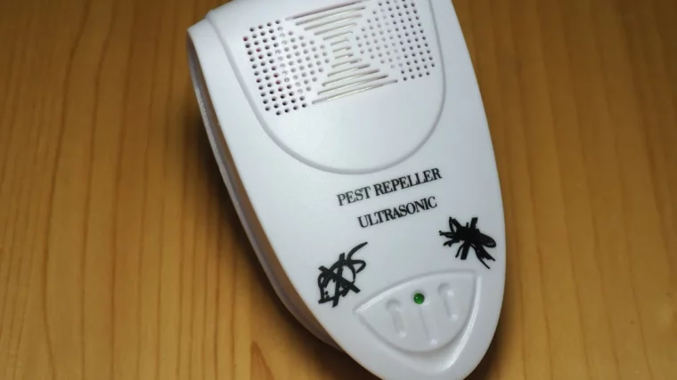Home Termite Control: Do Ultrasonic Devices Actually Work?