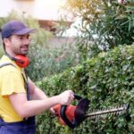 Essential Tips for Year-Round Hedge Trimming Sydney Success