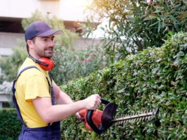 Hedge Trimming Sydney