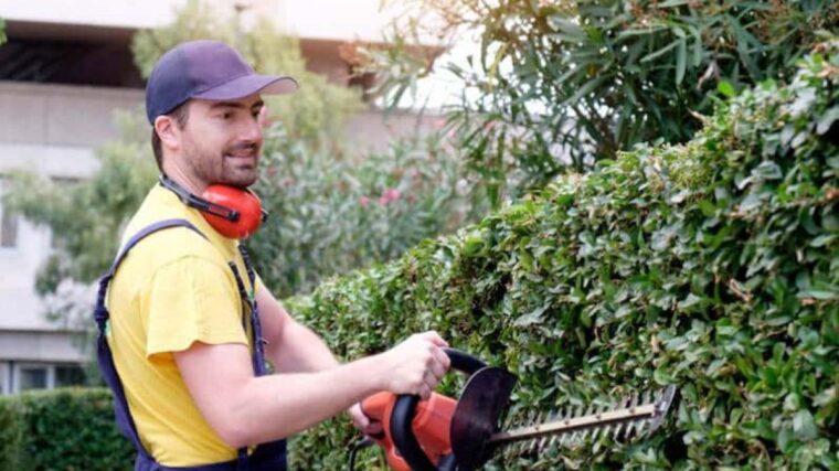 Hedge Trimming Sydney