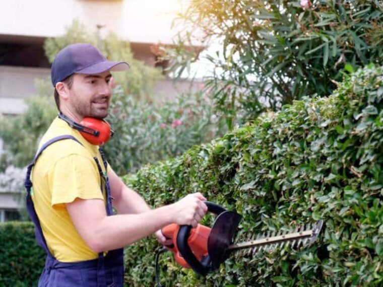 Hedge Trimming Sydney
